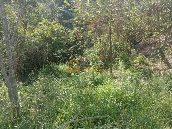 lote-venda-bairro-jequitiba-igarape-728241