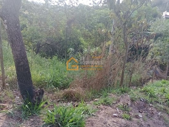 lote-venda-bairro-jequitiba-igarape-728244