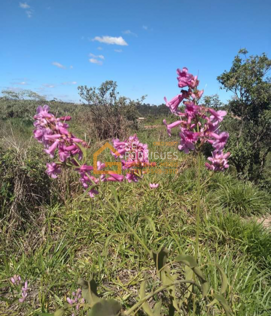 lote-venda-bairro-jequitiba-igarape-728245