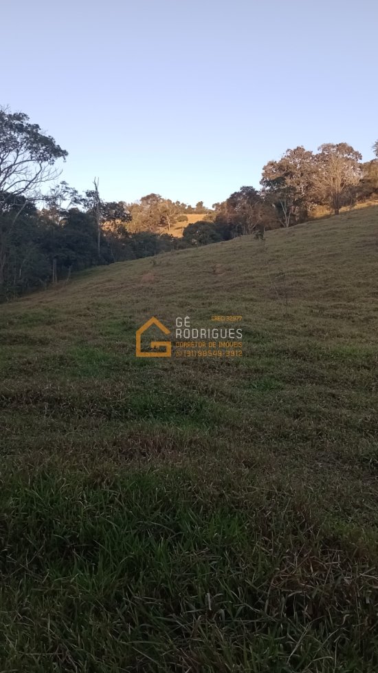 terreno-venda-povoado-alegria-piedade-gerais-mg-1041691