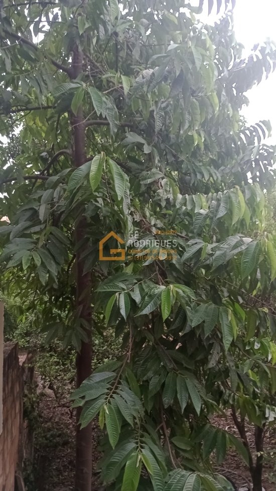 casa-venda-bairro-cruzeiro-betim-mg-1005906
