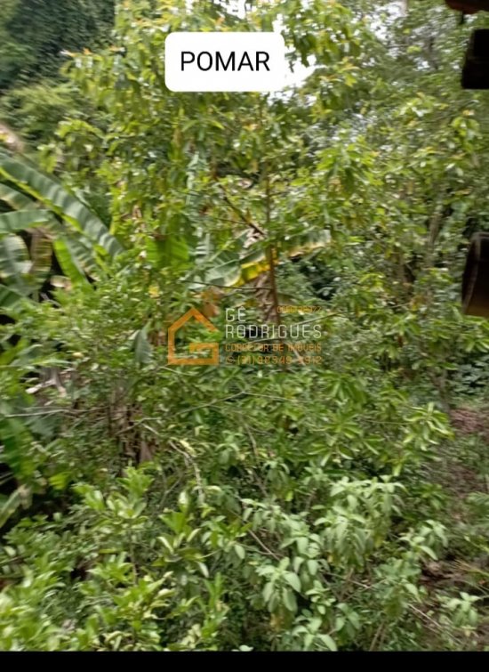 sitio-venda-regiao-do-hotel-fazenda-parque-do-avestruz-esmeraldas-747195