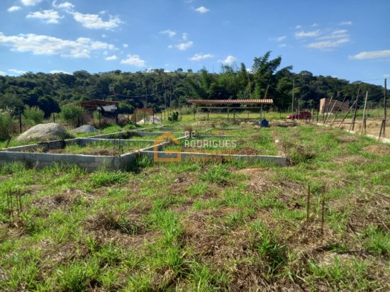 chacara-venda-bairro-suzana-mateus-leme-934972