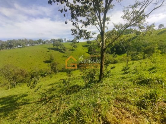 sitio-venda-piedade-gerais-731459