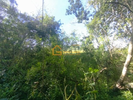 sitio-venda-piedade-gerais-731461
