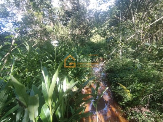 sitio-venda-piedade-gerais-731465