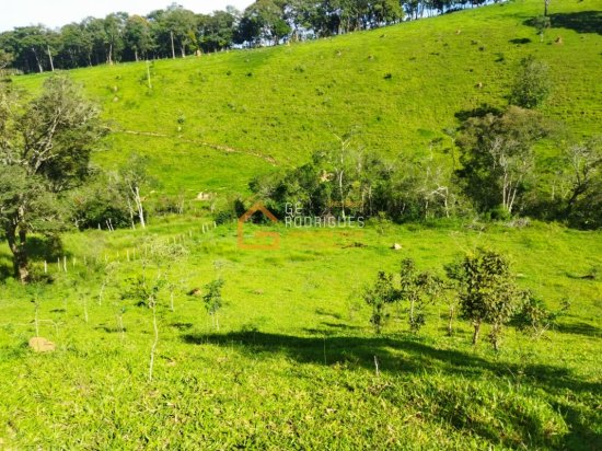 sitio-venda-piedade-gerais-731466