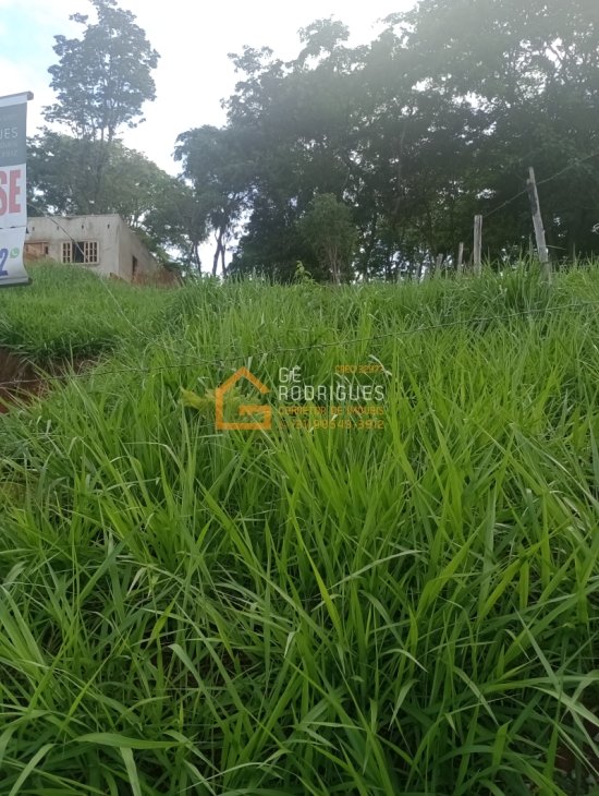 terreno-venda-sao-joaquim-de-bicas-953548