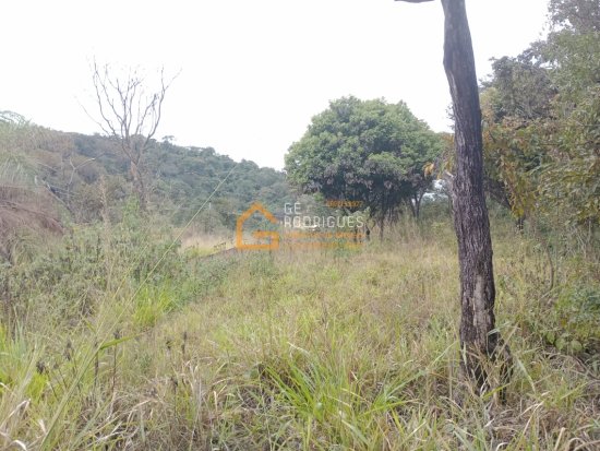 chacara-venda-av-adutora-bairro-cruzeiro-do-sul-betim-734326