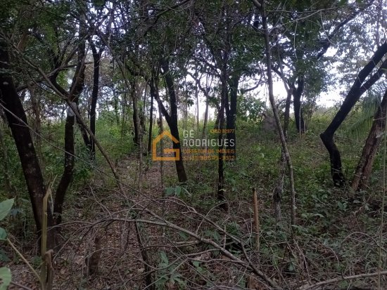 chacara-venda-av-adutora-bairro-cruzeiro-do-sul-betim-734335