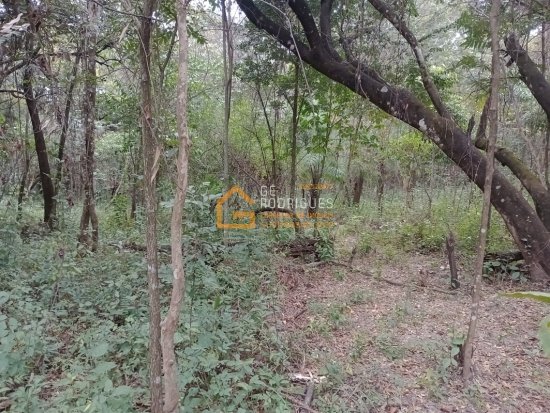 chacara-venda-av-adutora-bairro-cruzeiro-do-sul-betim-734328
