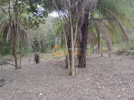 chacara-venda-av-adutora-bairro-cruzeiro-do-sul-betim-734330