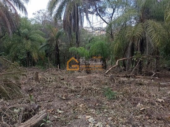 chacara-venda-av-adutora-bairro-cruzeiro-do-sul-betim-734331
