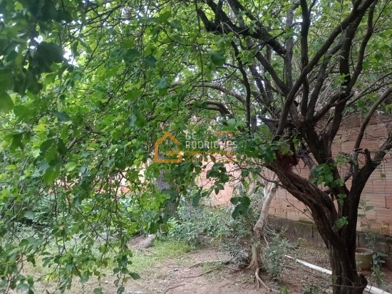 casa-venda-bairro-sao-joao-betim-815726