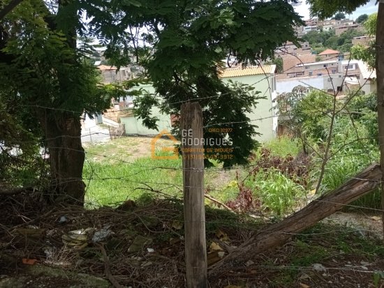 lote-venda-avenida-belo-horizonte-cruzeiro-do-sul-betim-817737
