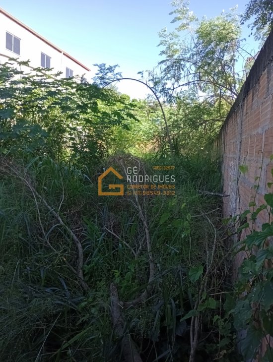 lote-venda-av-cordeline-b-cruzeiro-do-sul-betim-727994