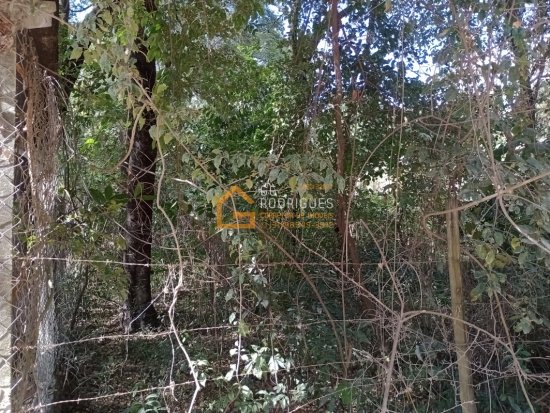 chacara-venda-rua-17-b-cruzeiro-do-sul-betim-728071